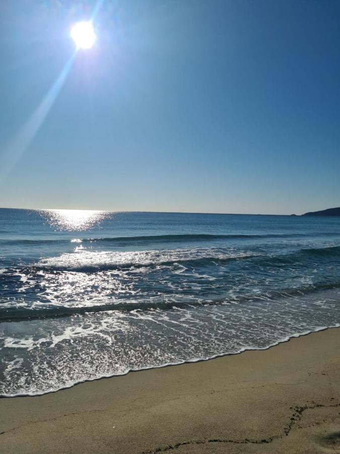 Les Lauriers Otel Saint-Tropez Dış mekan fotoğraf
